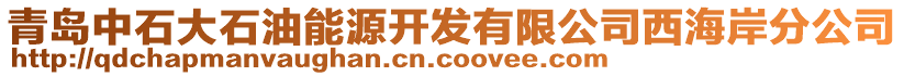 青島中石大石油能源開發(fā)有限公司西海岸分公司