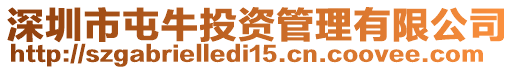 深圳市屯牛投資管理有限公司