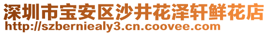 深圳市寶安區(qū)沙井花澤軒鮮花店