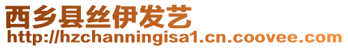 西鄉縣絲伊發藝