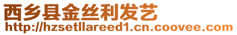 西鄉縣金絲利發藝