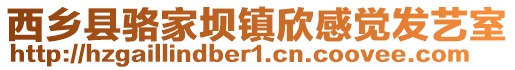 西鄉縣駱家壩鎮欣感覺發藝室