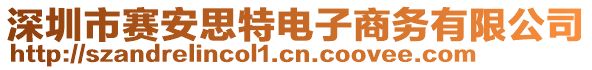 深圳市賽安思特電子商務有限公司