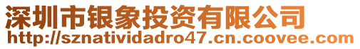 深圳市銀象投資有限公司
