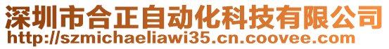 深圳市合正自動化科技有限公司