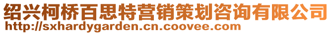 紹興柯橋百思特營銷策劃咨詢有限公司
