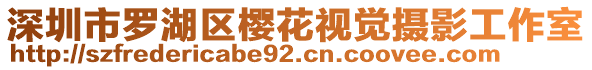 深圳市羅湖區(qū)櫻花視覺(jué)攝影工作室