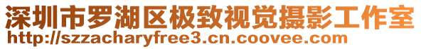 深圳市羅湖區(qū)極致視覺攝影工作室