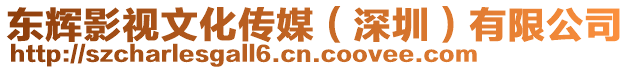 東輝影視文化傳媒（深圳）有限公司