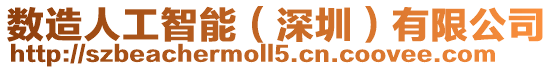 數造人工智能(深圳)有限公司