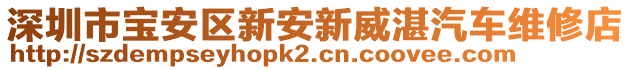 深圳市寶安區新安新威湛汽車維修店