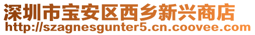 深圳市寶安區(qū)西鄉(xiāng)新興商店