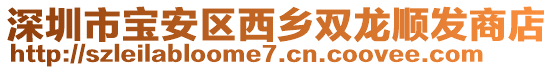 深圳市寶安區西鄉雙龍順發商店