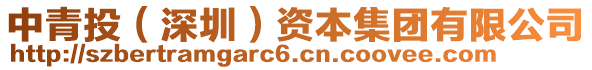 中青投(深圳)資本集團有限公司
