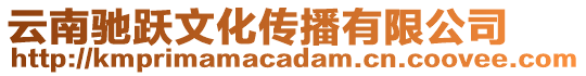 云南馳躍文化傳播有限公司