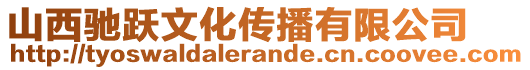 山西馳躍文化傳播有限公司