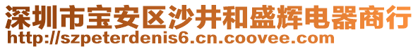 深圳市寶安區(qū)沙井和盛輝電器商行