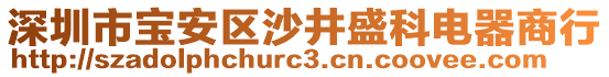 深圳市寶安區(qū)沙井盛科電器商行