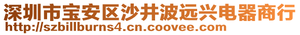 深圳市寶安區沙井波遠興電器商行