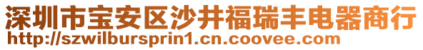 深圳市寶安區沙井福瑞豐電器商行