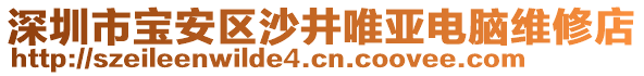 深圳市寶安區(qū)沙井唯亞電腦維修店