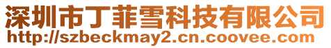 深圳市丁菲雪科技有限公司