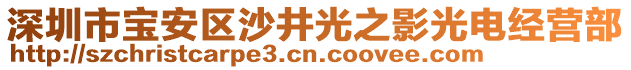深圳市寶安區沙井光之影光電經營部