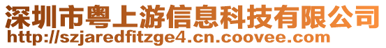 深圳市粵上游信息科技有限公司