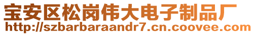 寶安區松崗偉大電子制品廠