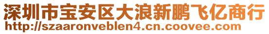 深圳市寶安區(qū)大浪新鵬飛億商行