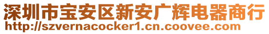 深圳市寶安區(qū)新安廣輝電器商行