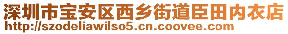 深圳市寶安區(qū)西鄉(xiāng)街道臣田內(nèi)衣店