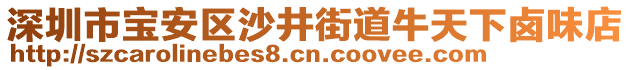 深圳市寶安區(qū)沙井街道牛天下鹵味店