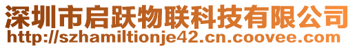 深圳市啟躍物聯(lián)科技有限公司