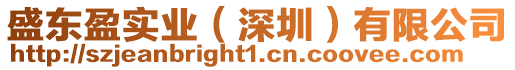 盛東盈實(shí)業(yè)（深圳）有限公司