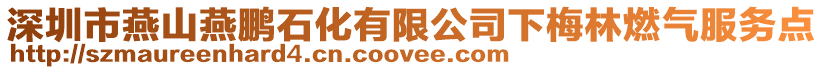 深圳市燕山燕鵬石化有限公司下梅林燃?xì)夥?wù)點