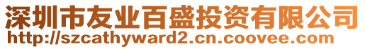 深圳市友業(yè)百盛投資有限公司