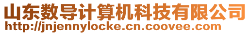 山東數(shù)導計算機科技有限公司