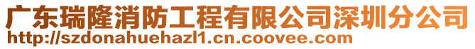 廣東瑞隆消防工程有限公司深圳分公司