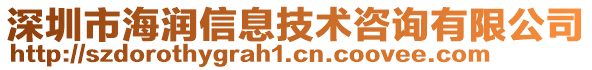 深圳市海潤信息技術(shù)咨詢有限公司