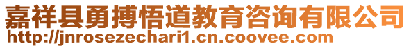 嘉祥縣勇搏悟道教育咨詢有限公司