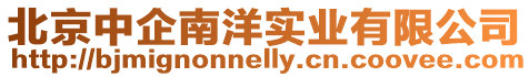 北京中企南洋實業有限公司