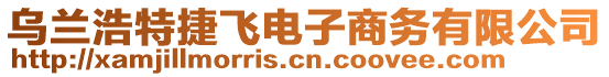 烏蘭浩特捷飛電子商務(wù)有限公司