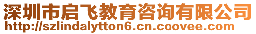 深圳市啟飛教育咨詢有限公司