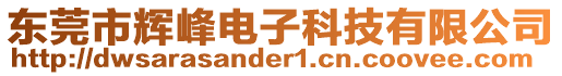 東莞市輝峰電子科技有限公司