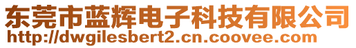 東莞市藍(lán)輝電子科技有限公司