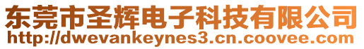 東莞市圣輝電子科技有限公司