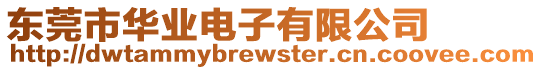 東莞市華業電子有限公司