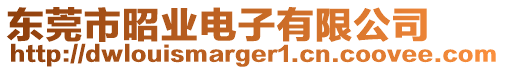 東莞市昭業(yè)電子有限公司