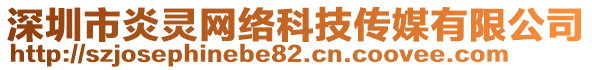 深圳市炎靈網(wǎng)絡(luò)科技傳媒有限公司